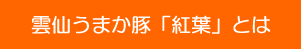 雲仙うまか豚「紅葉」