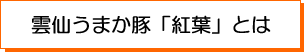 雲仙うまか豚「紅葉」